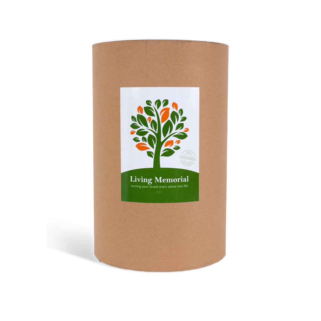 Planting a Memorial Tree with ashes Simplicita Cremations